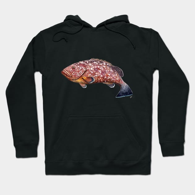 Dusky grouper Hoodie by chloeyzoard